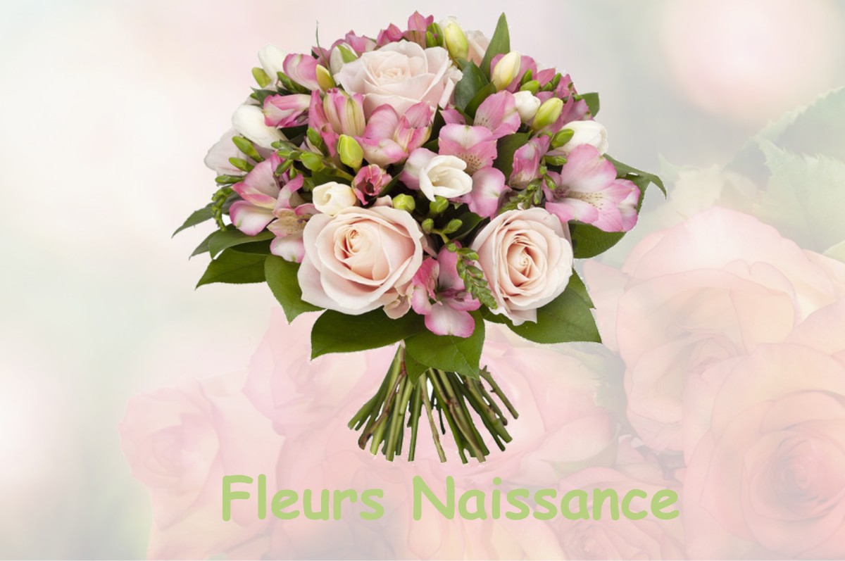 fleurs naissance VIMORY