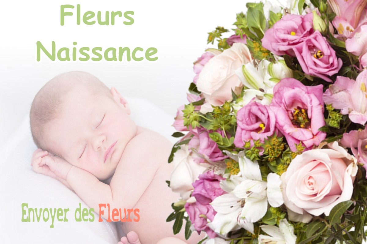 lIVRAISON FLEURS NAISSANCE à VIMORY